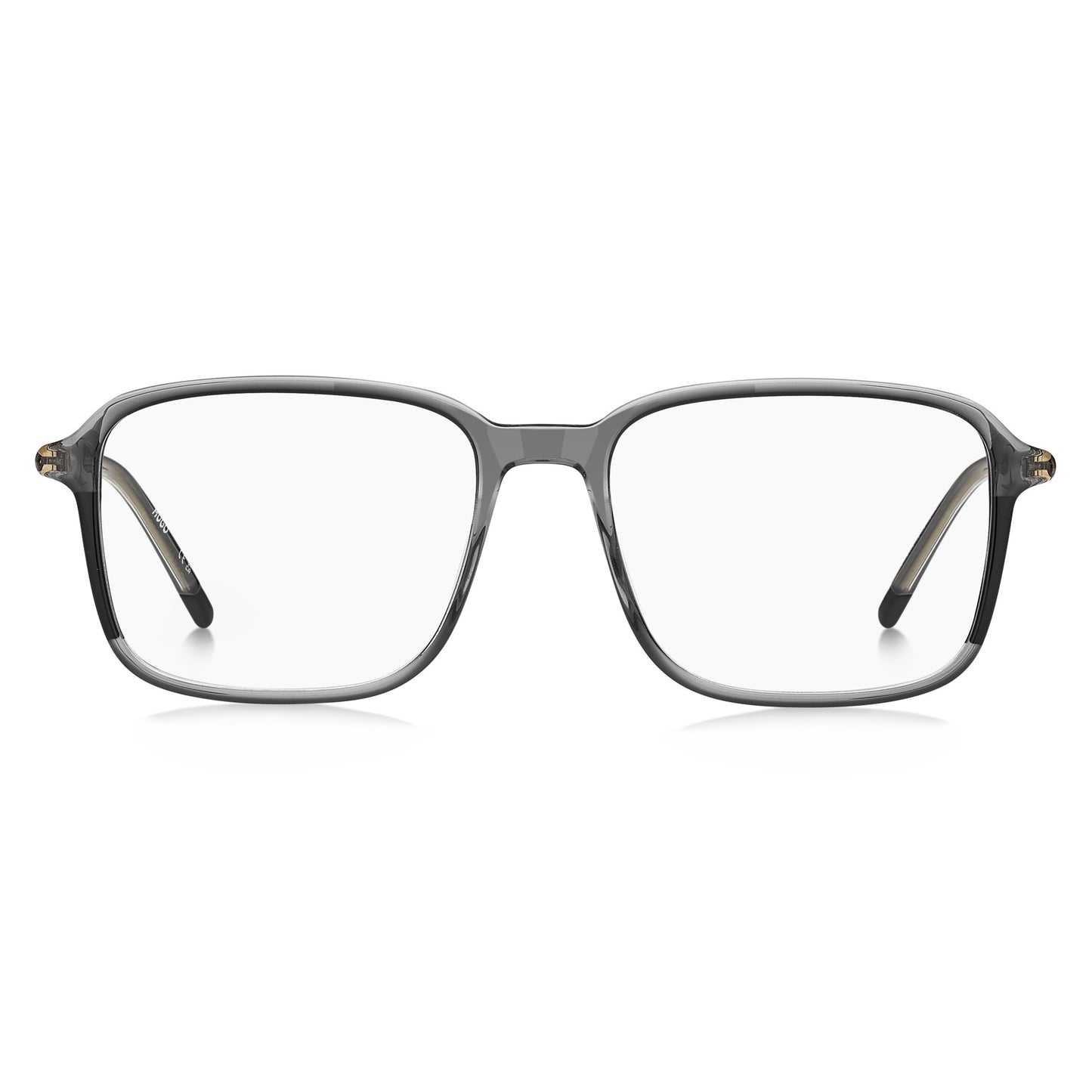 Hugo Boss HG1350