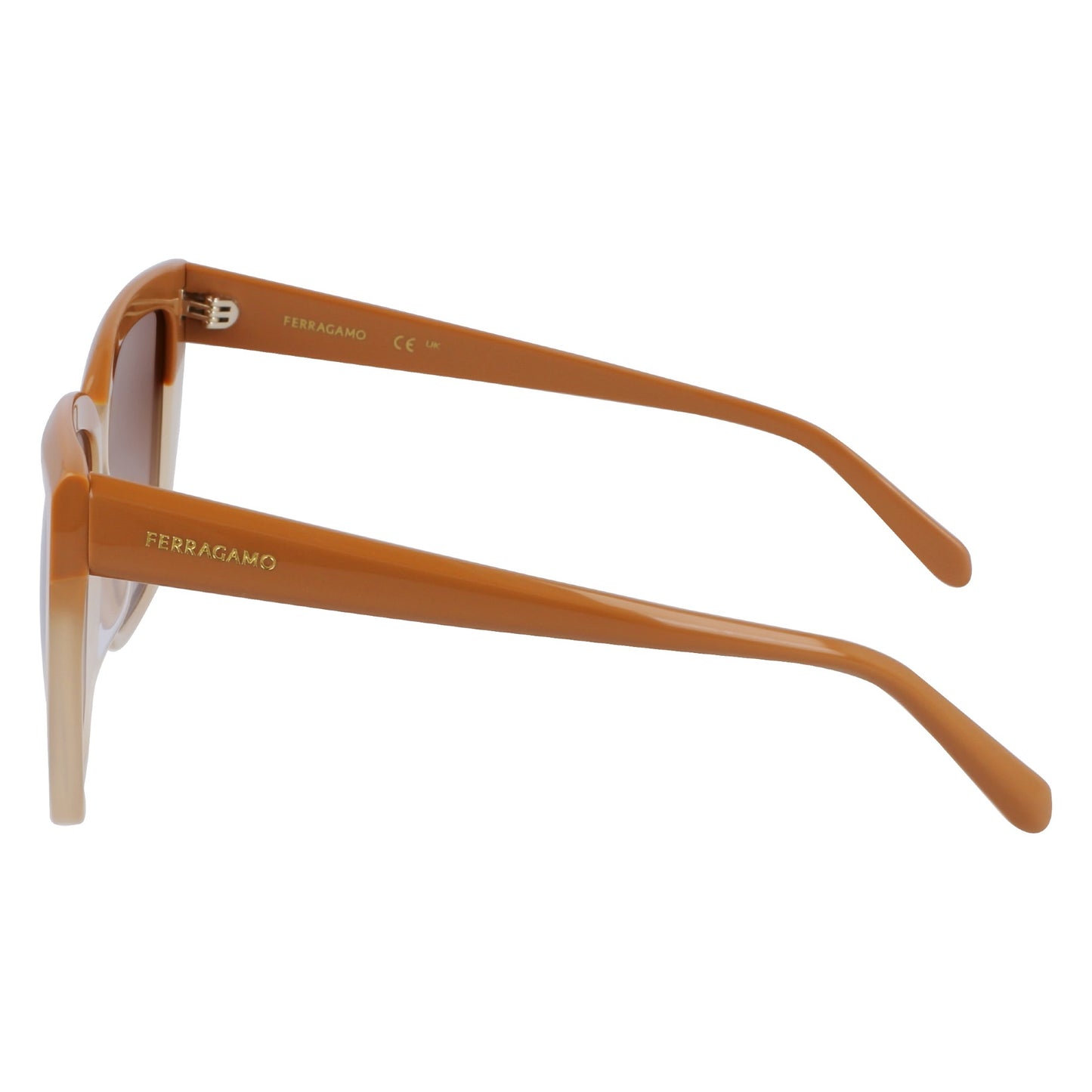 Salvatore Ferragamo SF1102S