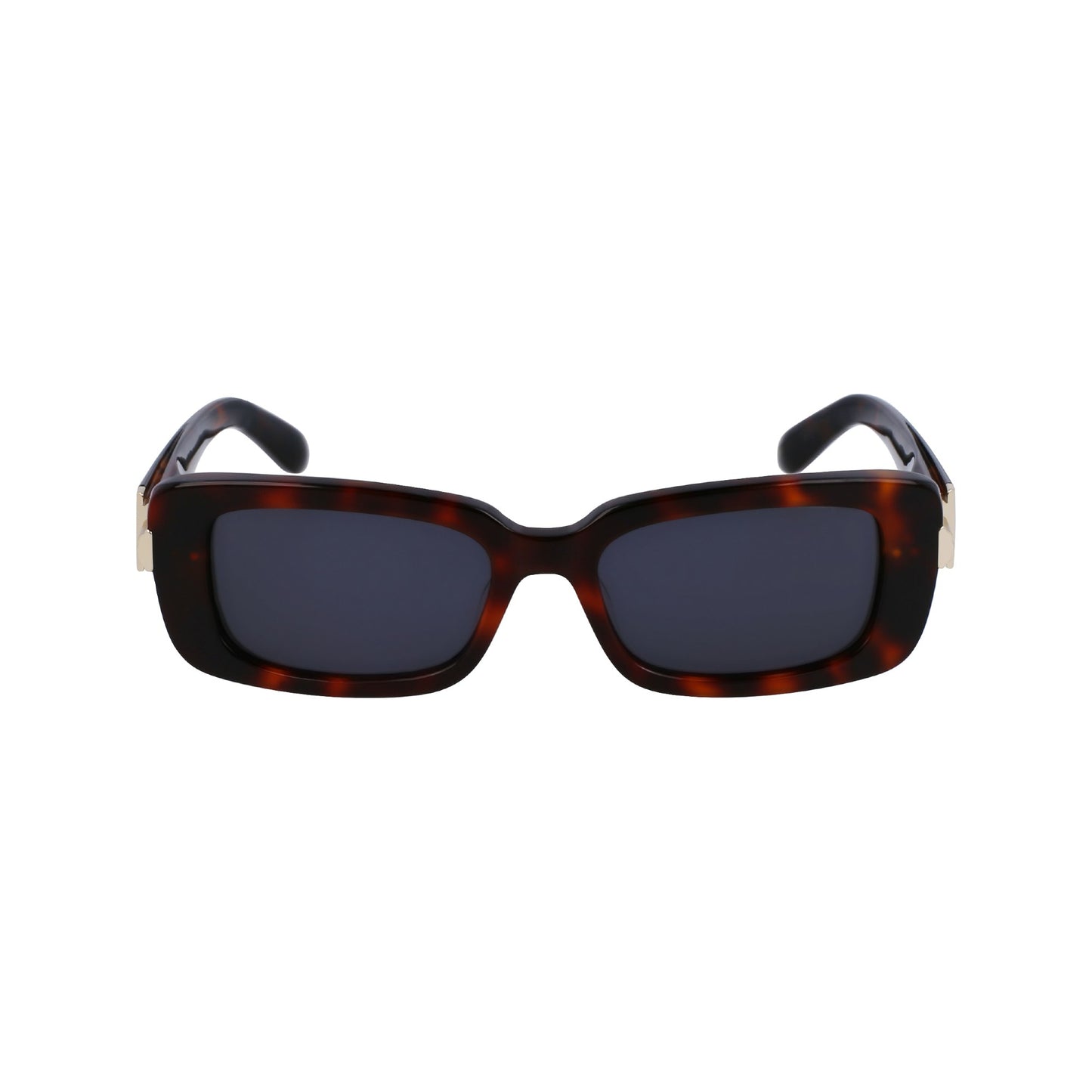 Salvatore Ferragamo SF1105S