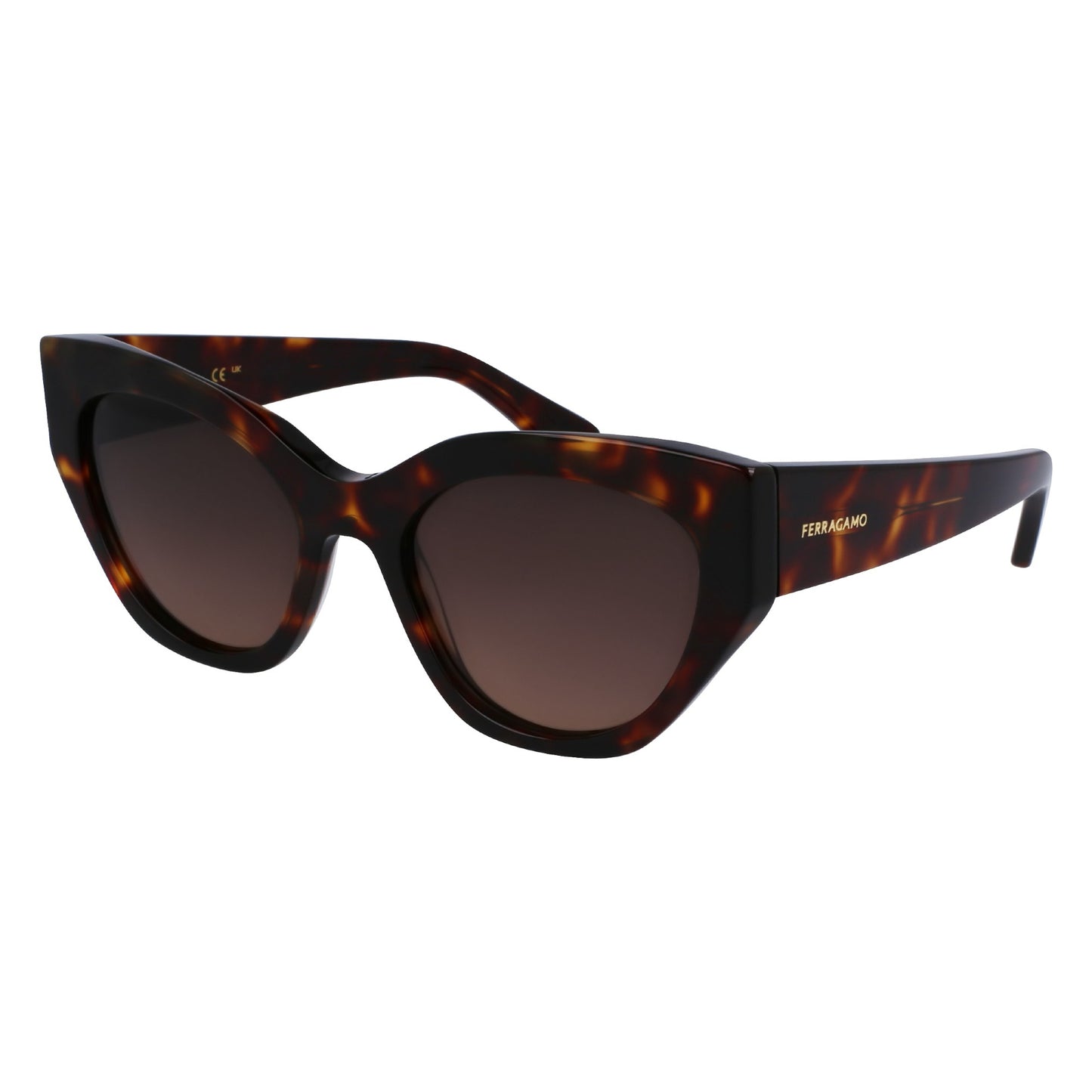 Salvatore Ferragamo SF1107S