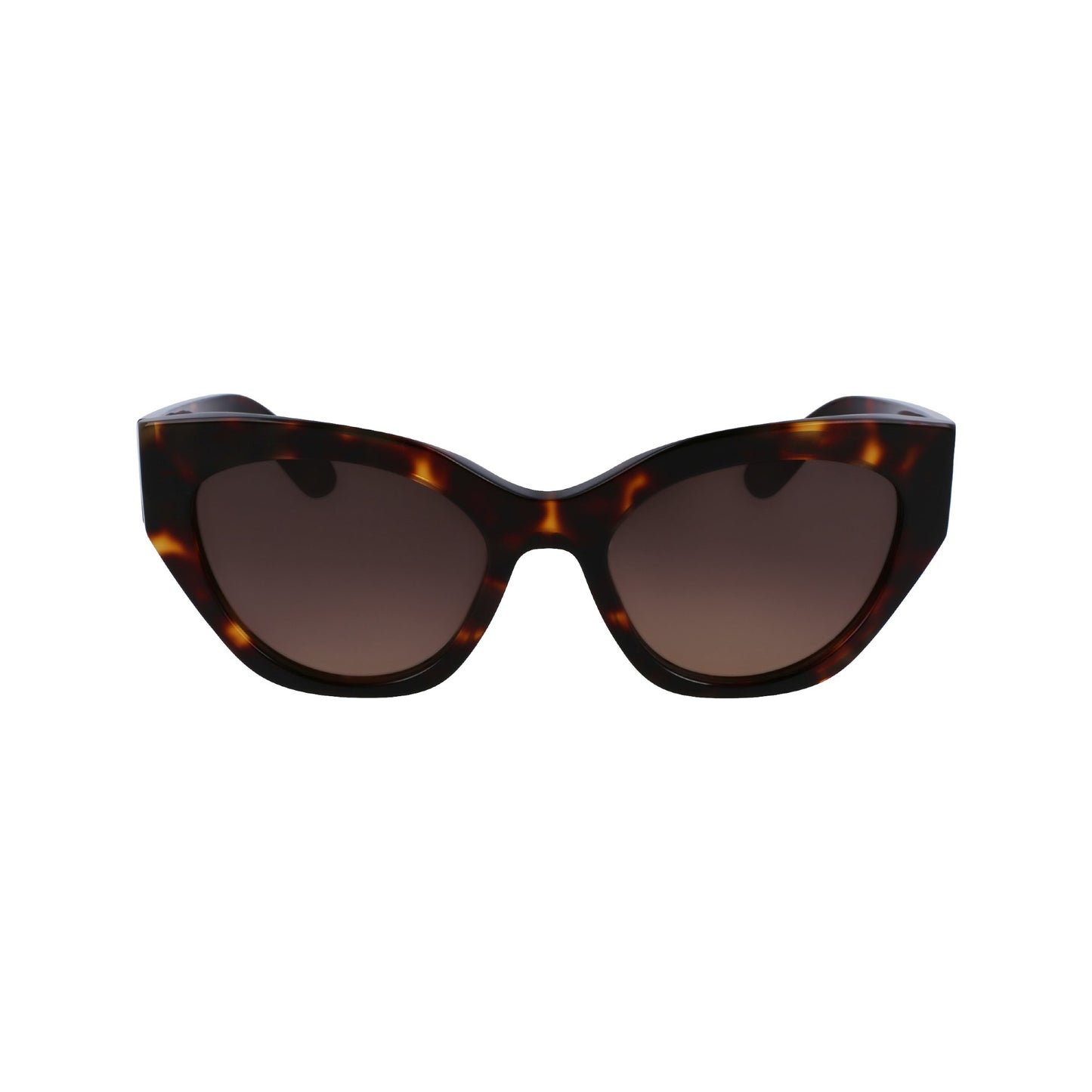 Salvatore Ferragamo SF1107S