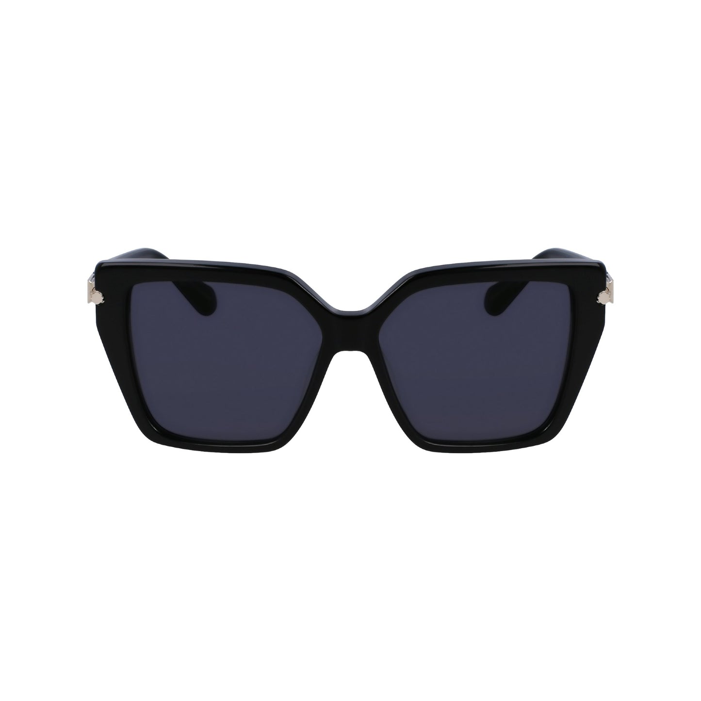 Salvatore Ferragamo SF1106S
