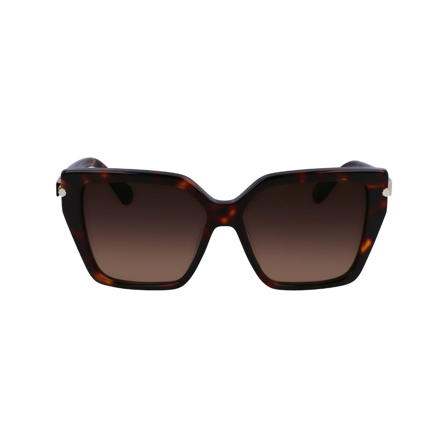 Salvatore Ferragamo SF1106S