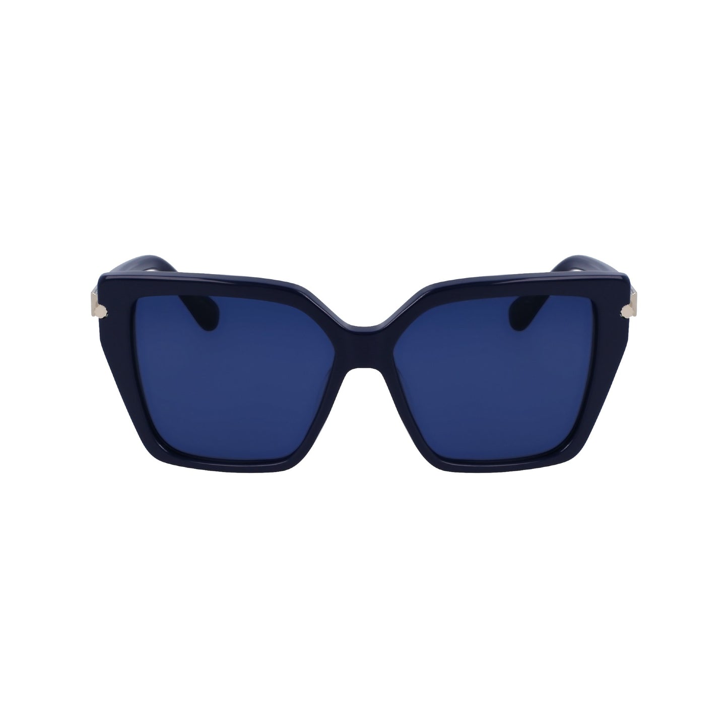 Salvatore Ferragamo SF1106S