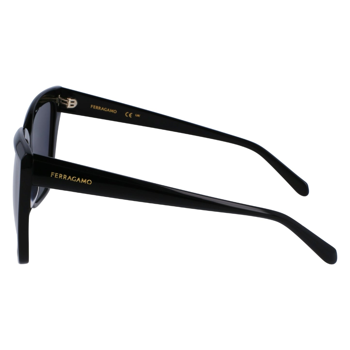 Salvatore Ferragamo SF1102S