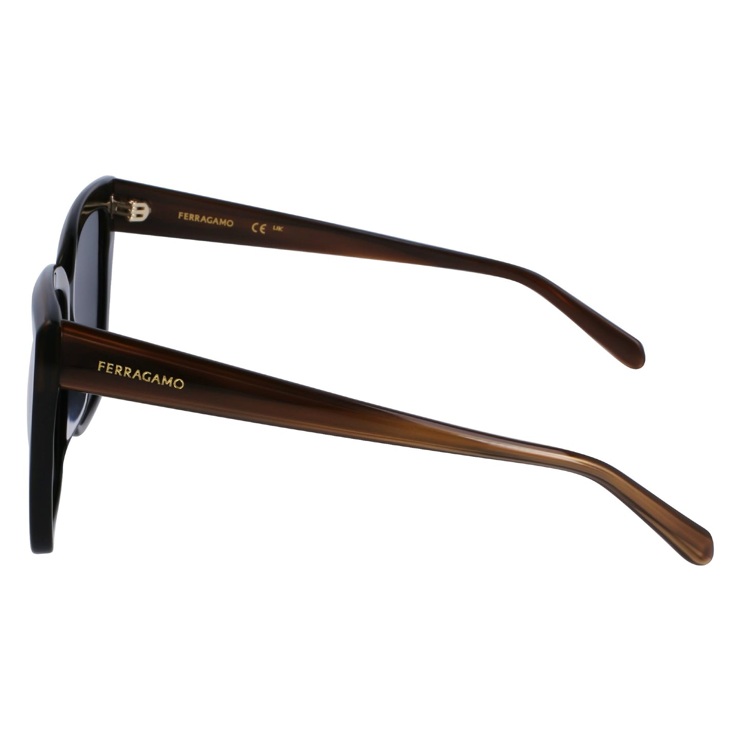 Salvatore Ferragamo SF1102S