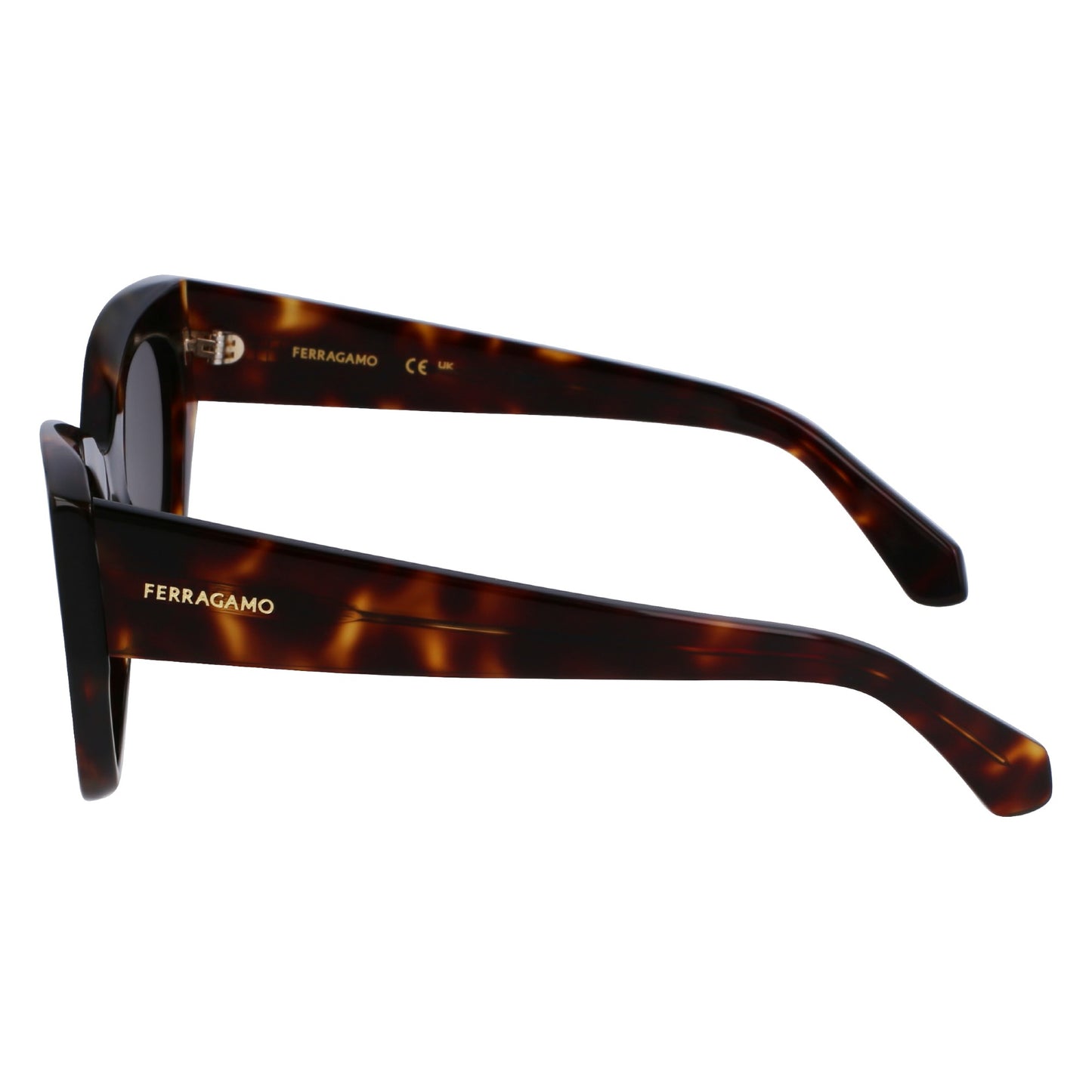 Salvatore Ferragamo SF1107S
